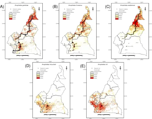 Figure 2Habitat suitability maps for the five major malaria vectors in CameroonHabitat suitability maps for the five major malaria vectors in Cameroon