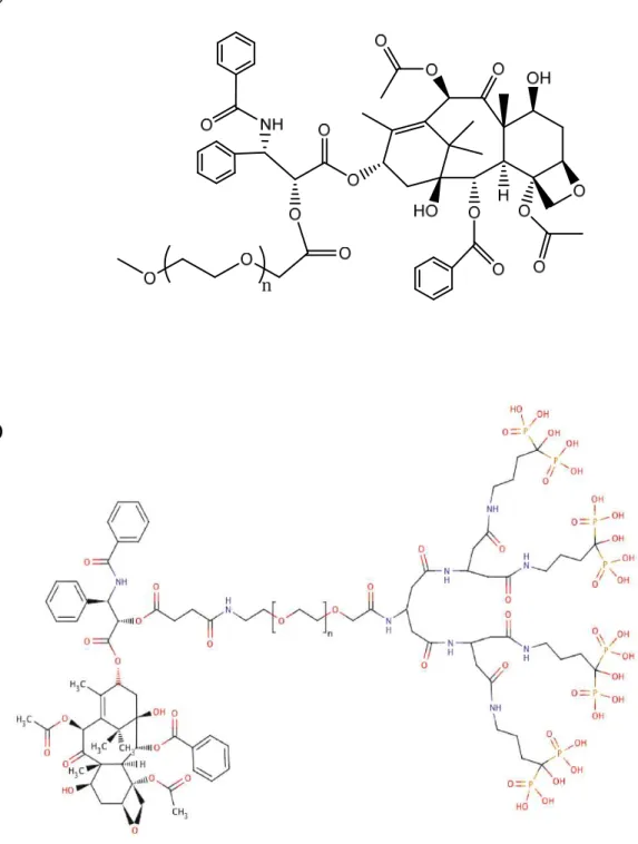 Figure 1.5 PX-PEG conjugates. (A) PX-2’-PEG (B) dendritic PX-PEG-(alendronate) 4  [41] 