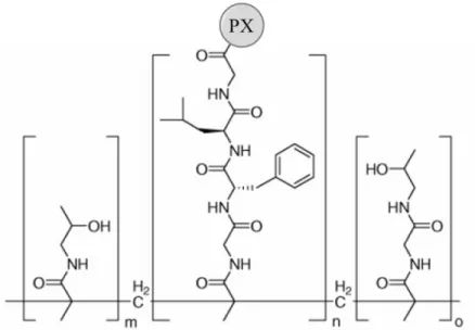Figure 1.7 PX-2’-HPMA 