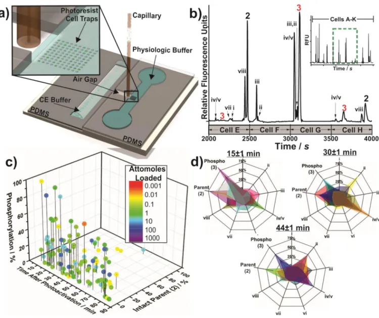 Figure 3. Automated single cell analysis