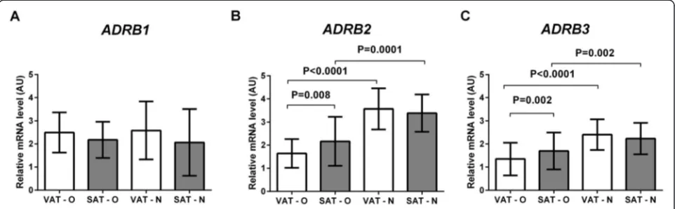 Figure 1 Comparison of the expression of ADRB1 (A), ADRB2 (B) and ADRB3 (C) genes in the visceral (VAT) and subcutaneous (SAT)adipose tissues of obese (O) and normal-weight (N) individuals