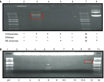 Table 1 Zeta potential and encapsulation efficiency of nano-particles
