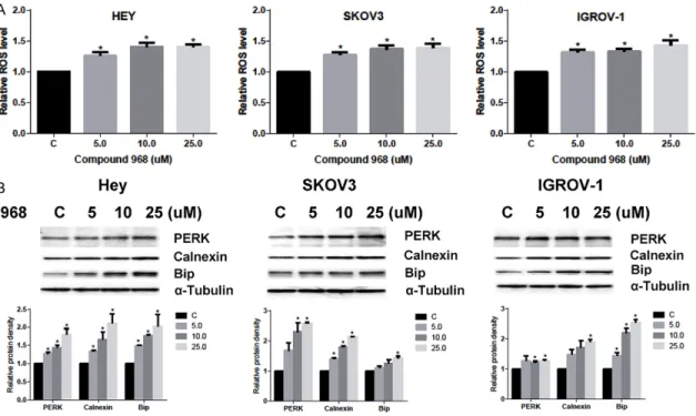 Figure 3. Treatment of Compound 968 caused cellular stress. Compound 968 induced intracellular reactive oxygen  species (ROS) production in a dose dependent manner after 24 h treatment in all three ovarian cancer cell lines (A)