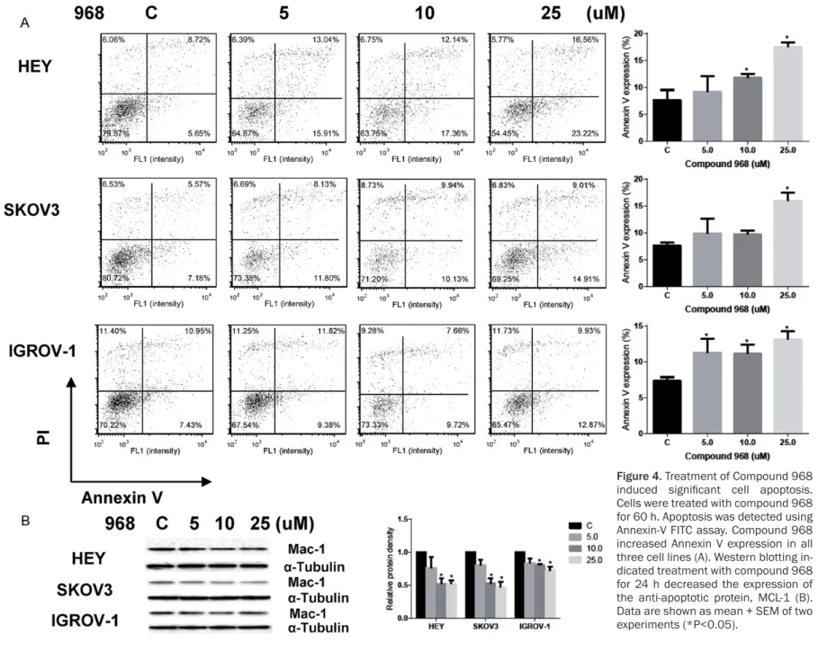 Figure 4. Treatment of Compound 968  induced  significant  cell  apoptosis. 