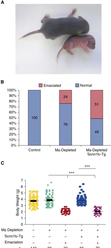 Figure E4) that were more prominent in emaciated than in nonemaciated DTA 1 /WT neonates