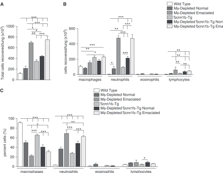 Figure 6. BAL analyses exhibit genotype-specific alteration in total and differential cell counts