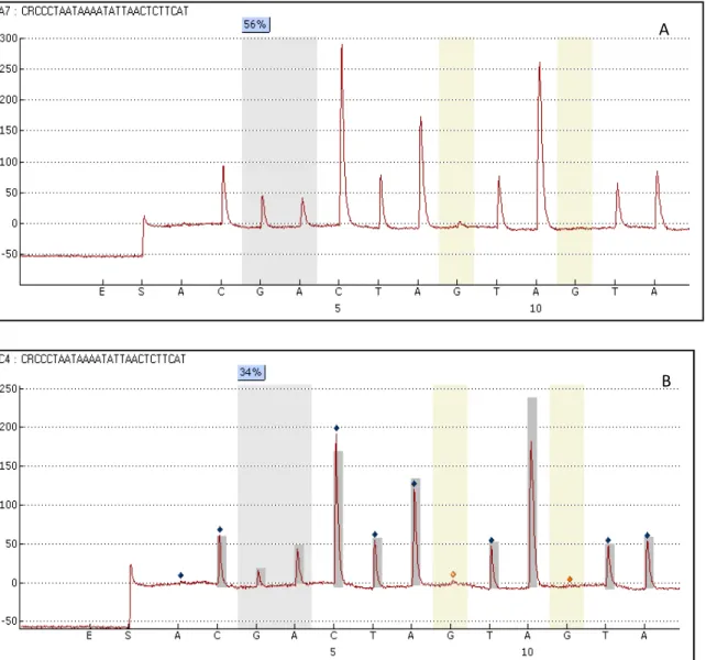 Figure 1: The pyrograms illustrate a control and test sample. Methylation levels of the  CpG site at position -295 in the “non-inflamed” and “inflamed” gingival tissues analyzed  with the Pyro Q-CpG system