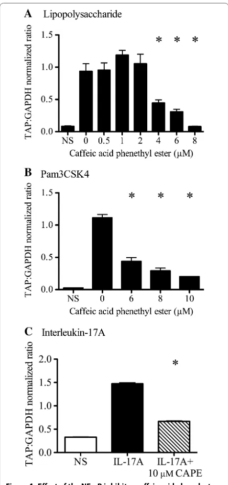 Figure 1 Effect of the NF-κB inhibitor caffeic acid phenylester (CAPE) on induction of TAP gene expression by LPS, Pam3CSK4 and IL-17A