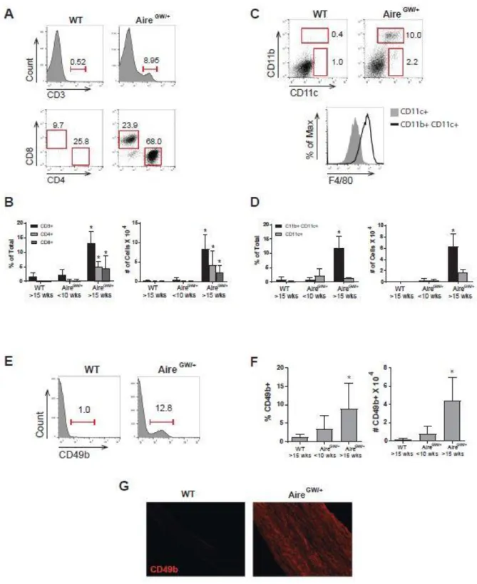 Figure 2. 1: T cells, macrophages, dendritic cells, and CD49b+ cells increase in  frequency and number during SAPP