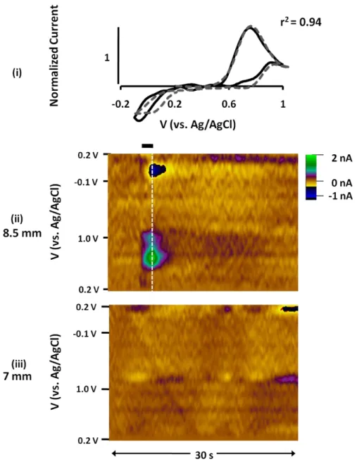 Figure 2.6 Electrochemical and anatomical validation of 5-HT detection. Panel (i) shows a  normalized comparison of an in vivo signal (black solid) to an in vitro 5-HT (100 nM)  measurement