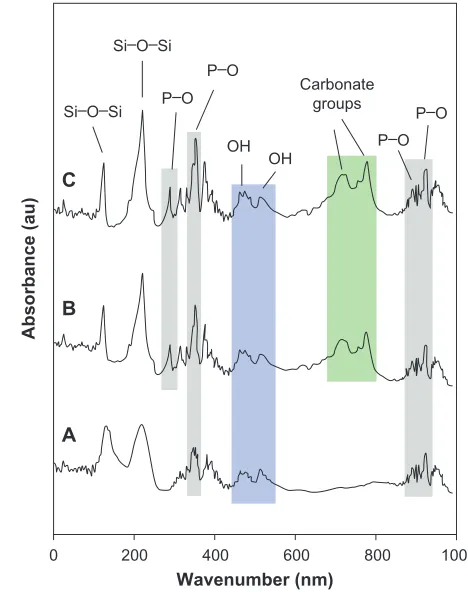 Figure 5, extracted from the AFM analyses using the DI Nano-