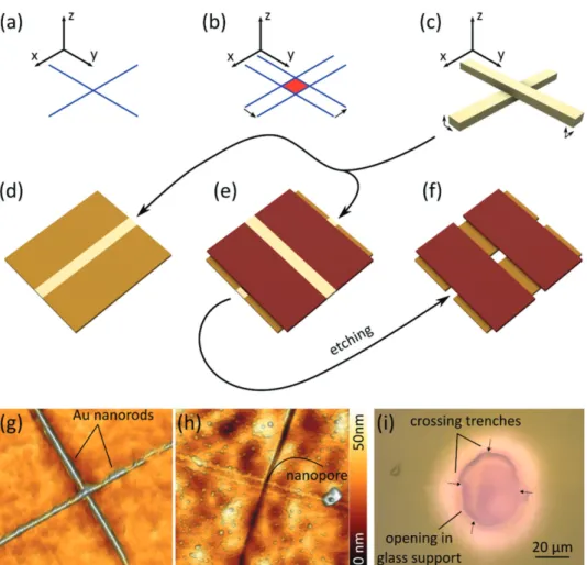 Figure  2a illustrates the I–V characteristic of a nano- nano-pore achieved by etching two Au nanorods of 50 nm width 