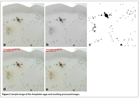 Figure 2 Sample image of the Anopheles eggs and resulting processed images.