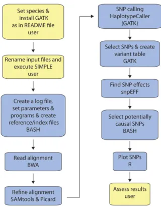 Figure 1. The SIMPLE pipeline workflow. User-required actions are in yellow, and SIMPLE actions are in blue