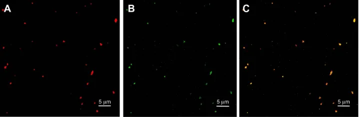 Figure 7 (A–and (Note: Abbreviations: C) Size and (D–F) zeta potential of complexes of DC-Chol/DOPE liposomes/pDNA and pH-sensitive PEGylated liposomes