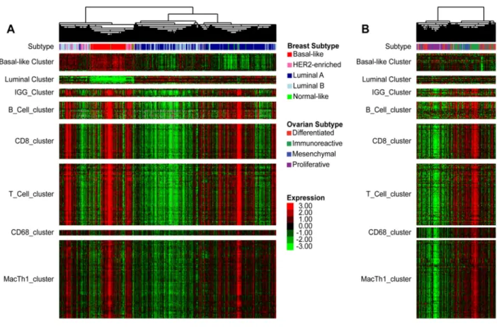 Figure 2.1  A Concordant expression of genes from different immune cell types in a distinct  subset of primarily basal-like, HER2-enriched, and normal-like tumors
