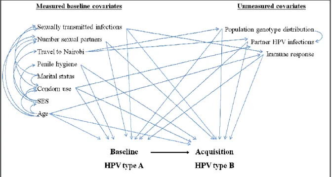 Figure 3.4.  Directed acyclic graph time to acquisition of other HPV types