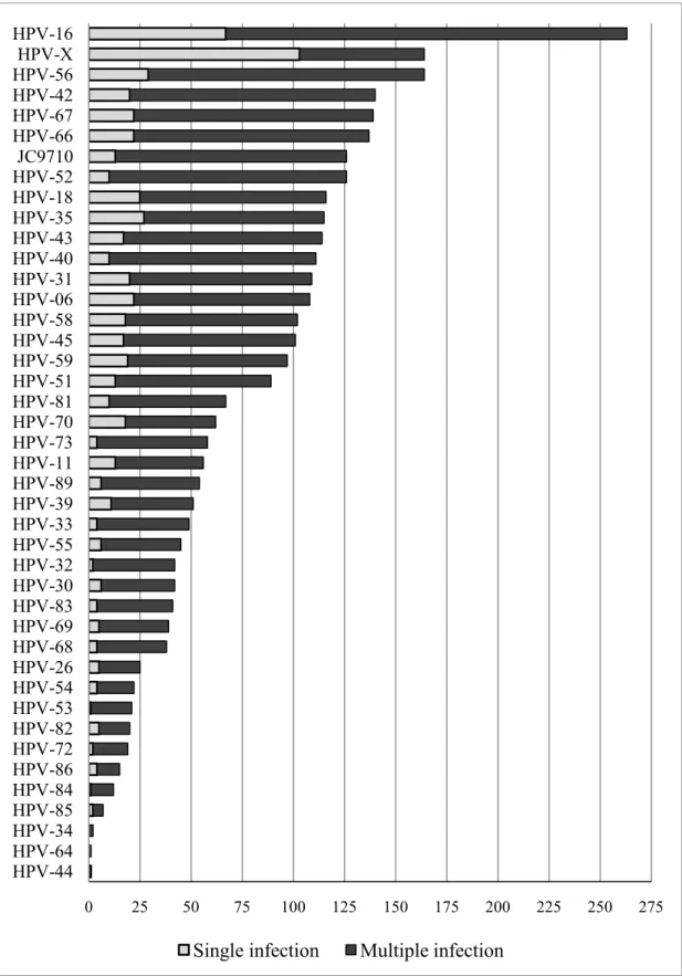 Figure 4.1.  HPV genotype distribution of multiple and single infections, in order of  descending prevalence  0 25 50 75 100 125 150 175 200 225 250 275HPV-44HPV-64HPV-34HPV-85HPV-84HPV-86HPV-72HPV-82HPV-53HPV-54HPV-26HPV-68HPV-69HPV-83HPV-30HPV-32HPV-55HP
