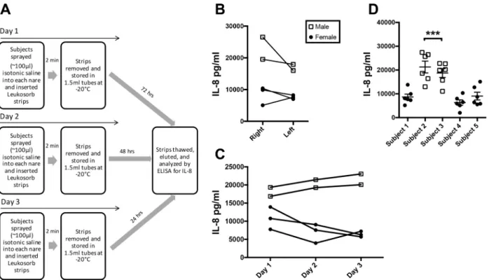 Fig. 2. Intranare, day-to-day, and interindividual variability of IL-8 production in epithelial lining fluid (ELF)