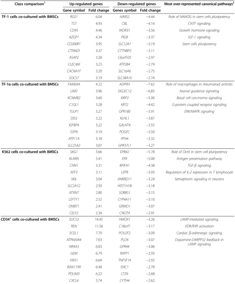 Table 3 Change in expression of leukemia and CD34+ cell genes during co-cultured with BMSCs