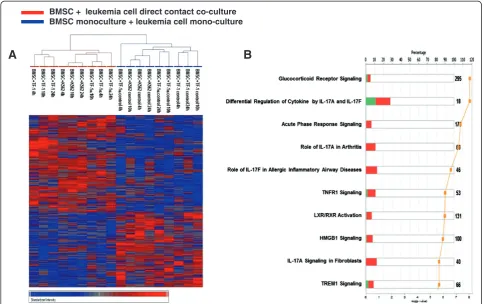 Figure 3 Gene expression analysis of BMSCs co-cultured in direct contact with leukemia cells shows changes in IL-17 signaling-relatedThe cells were harvested at 4 h, 10 h and 24 h and total RNA were extracted
