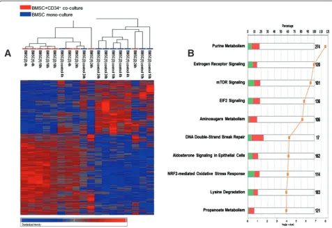 Figure 4 Gene expression analysis of BMSCs co-cultured with CD34+ cells compared with BMSC mono-cultures shows changes inmetabolism related genes