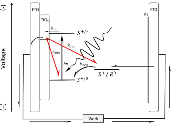 Figure 1.02. Schematic diagram of the desired (straight/curved black arrows) and unwanted  (red arrows) electron transfer processes in a DSSC following light (hν, squiggly arrow)  absorption by the sensitizer, S