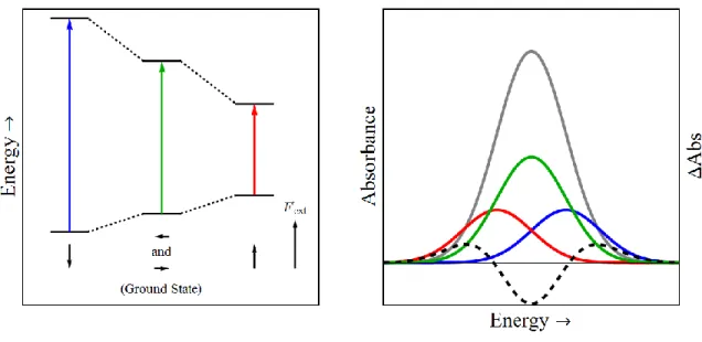 Figure 1.06. (A) Jablonski-type diagram depicting the ground and excited state energies for  molecules aligned antiparallel (blue) orthogonal (green) and parallel (red) to the electric  field, F ext 