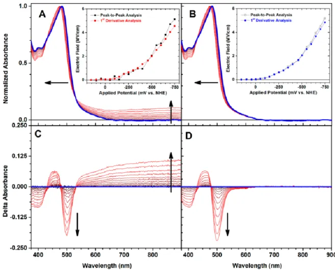 Figure 2.03A and after subtraction of the contributions from TiO 2 (e − )s in Figure 2.03B