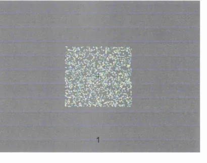 Figure 8. An example of a screenshot showing a 100% noise stimulus.