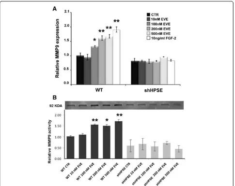 Figure 2 Matrix metalloproteinase-9 (MMP9) gene expression and activity after Everolimus (EVE) treatment