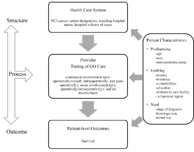 Figure 4.  Conceptual Model for Assessing Quality: Health Care Structure, Process of GO Care,  and Survival Outcome for Aims 1 and 2