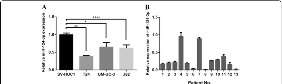 Figure 1 Expression patterns of miR-124-3p in urinary bladder cancer tissues and BCa cell lines