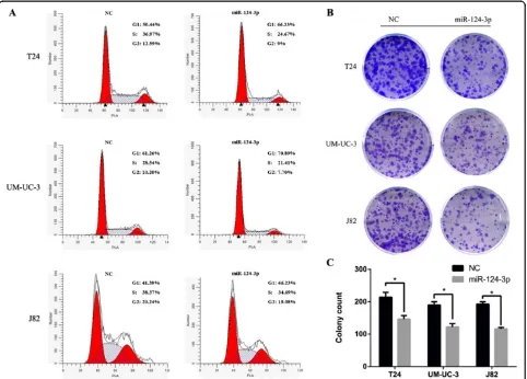 Figure 2 miR-124-3p induces G1-phase arrest and inhibits clonogenicity in bladder cancer cell lines
