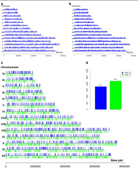 Fig. 1 The mRNA expression across the chromosomal arm of T. gondii. The density of expressed genes across the chromosomal arm of tachyzoites (a)and bradyzoites (b)