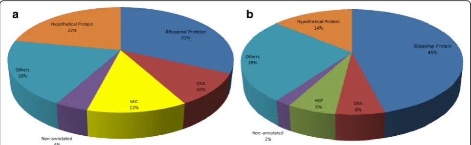 Fig. 2 The distribution of the 50 most abundant transcripts in T. gondii. a Tachyzoites