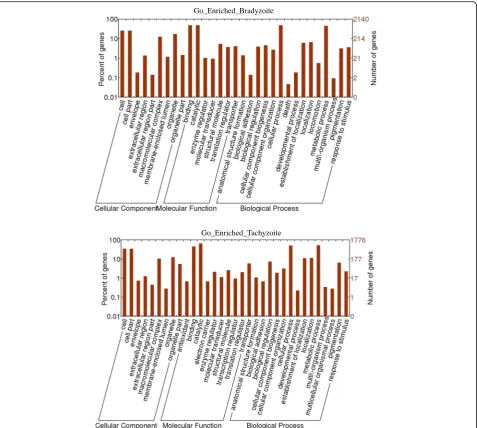 Table 1 An alignment comparison of the genome-based and de novo assembly strategies for the T
