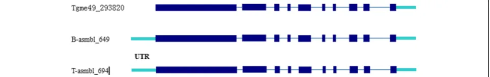 Fig. 4 The frequency of T. gondii transcripts by length. The transcripts were generated by a genome-based strategy (green) and Trinity-based denovo strategy (blue) in bradyzoites (a) and tachyzoites (b)