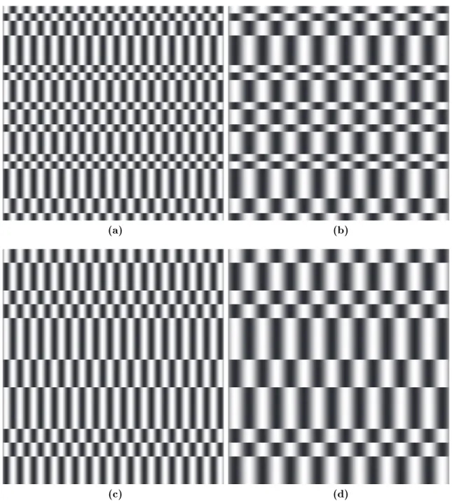 Figure 2.7: Coded apertures based on a sinusoid in x (horizontal) and a quadratic residue in y (vertical)