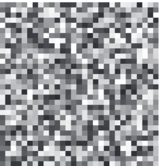 Figure 2.9: Coded aperture with resolution 32×29 based on uniform random values in [0, 1] 