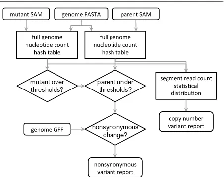 Fig. 2 Software flow chart. MinorityReport relates mapped sequence reads in SAM format output from any alignment tool for both the mutant and parent genome, relative to a reference genome, to the protein coding sequence, and produces the set of nonsynonymous variant that distinguish the mutant from the parent