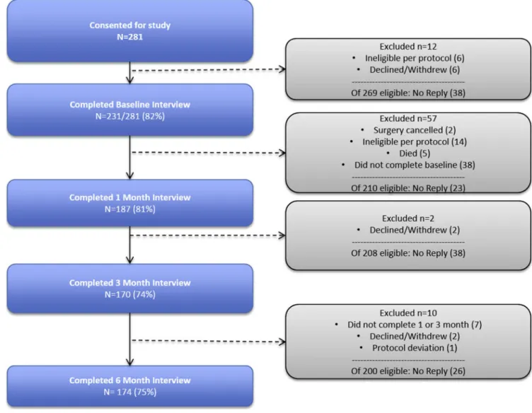 FIGURE 1. Study population
