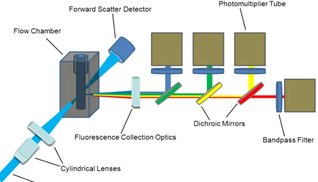 Figure 1.2  Schematic of a common optical configuration for a commercial cytometry  system
