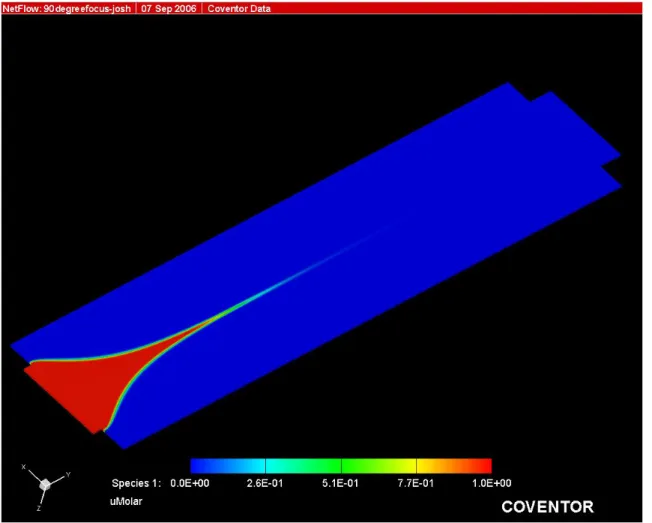 Figure 2.1  Result from a computational fluid dynamic simulation of a prospective  microfluidic flow chamber design where the sheath buffer intersects the cell solution at a  90º angle