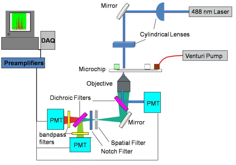 Figure 2.5  Schematic diagram of the optical detection setup of the microfluidic cytometry instrument for the detection of two  fluorescence channels and forward-scattered light