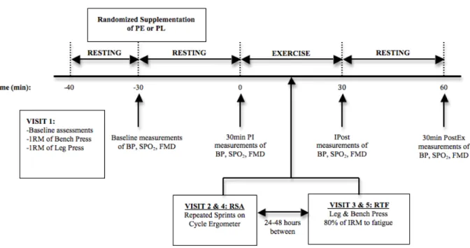 Figure 1. Overview of the study experimental design. Pomegranate Extract (PE); Placebo (PL); 