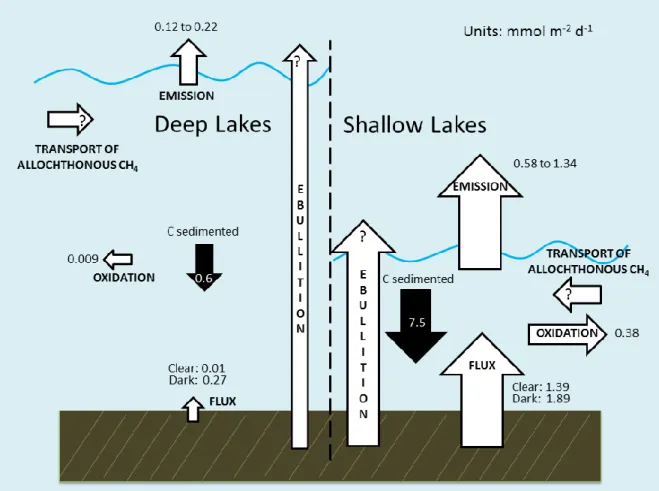 Figure 7:  Conceptual model of CH 4  cycling dynamics in shallow and deep Arctic Foothill lakes
