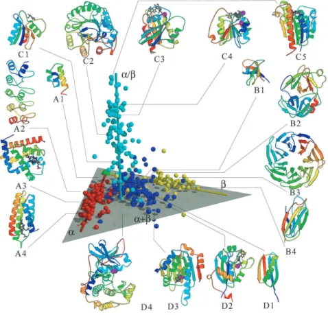 Figure 2.5: The top level structural classification of proteins based on their secondary struc- struc-ture components.