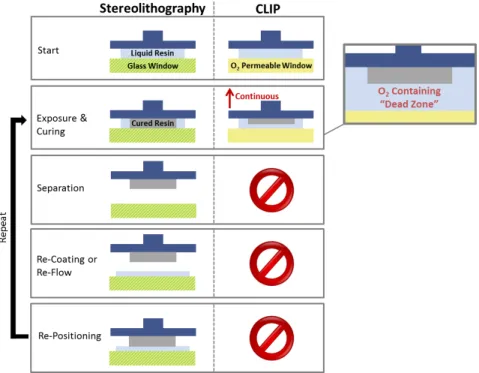 Figure 1.8 Differences between Stereolithography and CLIP. In traditional stereolithography,  each layer is cured, then separated and repositioned
