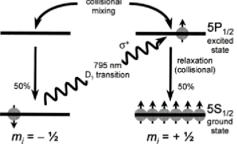 Figure 1.3: Diagram showing the depopulation optical pumping of rubidium by laser light tuned to the 795 nm D1 transition
